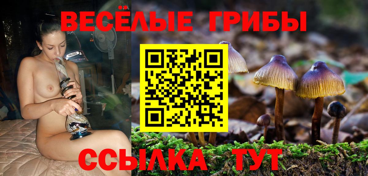 Слободской  Галлюциногенные грибы GOLDEN TEACHER  Вход с VPN 