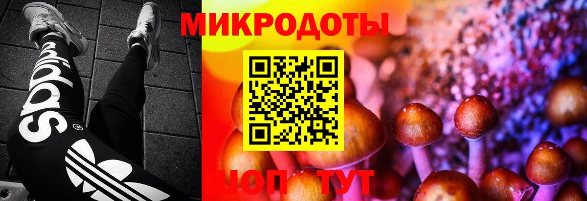 Галлюциногенные грибы Magic Shrooms Слободской